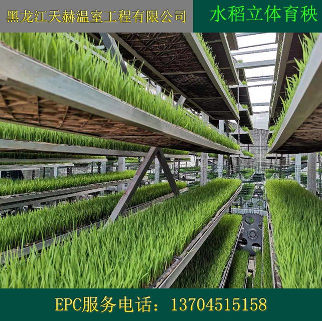 水稻育秧設(shè)備工廠 立體化全自動智能生產(chǎn)，助力稻谷種植現(xiàn)代化